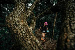 BIB: 
                            <button type="button" onclick="openModal(25698872)" class="btn btn-primary btn-sm float-right btn-popup" data-toggle="modal" data-target=".modal-high-quality">
                        <i class="fas fa-shopping-cart"></i> Add to Cart
                    </button>
                                            <button type="button" onclick="isThisMe(25698872, true)" class="btn btn-success btn-sm float-right btn-popup btn-isme hidden" data-toggle="tooltip" data-placement="bottom" title="นี่คือรูปของคุณใช่ไหม คลิกที่นี่เพื่อเอาเข้าอัลบั้ม">
                        <i class="fas fa-plus"></i> Add to album
                    </button>
                    <button type="button" onclick="isThisMe(25698872, false)" class="btn btn-warning btn-sm float-right btn-popup btn-isnotme hidden">
                        <i class="fas fa-ban"></i> Remove from album
                    </button>